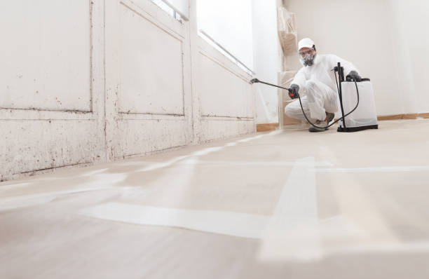 24/7 Emergency Black Mold Removal experts in Bartlett, TX