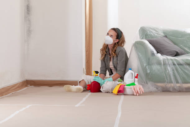 Reliable Black Mold Removal contractor in Bartlett, TX by WQB Mold Removal